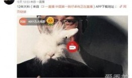卓伟爆料直播间视频,独家爆料背后的真相与内幕