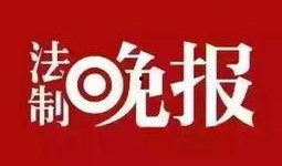 新闻爆料用语,揭秘新闻背后的惊人真相