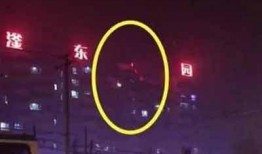 河北东方爆料最新消息新闻,最新热点新闻速览