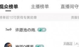 爆料提子视频在线观看,在线观看背后的精彩瞬间