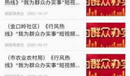大众评审爆料流程视频,视频解析背后的真相