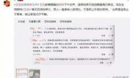 网络爆料前妻视频大全,前妻私密视频大全引发热议