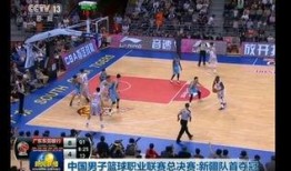 中国男篮爆料新闻报道,揭秘赛场背后的故事与真相