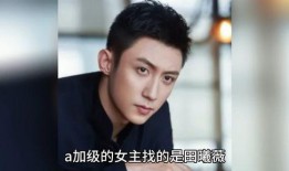 娱乐明星八卦解说最新爆料