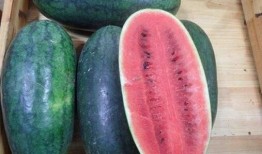 山东两位网红吃瓜视频,一场意外的“吃瓜”盛宴