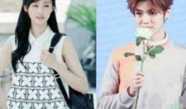 圈内人士爆料鹿晗,圈内人士揭秘神秘幕后故事