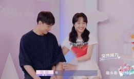 张铭恩郑爽最新爆料,揭秘娱乐圈背后的真相与情感纠葛