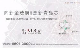山东青岛最新教育爆料,揭秘青岛教育改革与创新发展举措