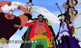 航海王黑胡子爆料视频,航海王世界背后的惊人真相