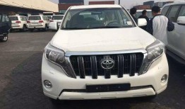 新款霸道爆料视频大全,性能升级与设计革新一览无余