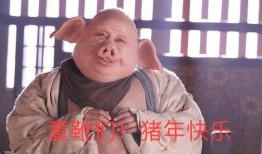 网红吃瓜挨揍事件真相,真相揭秘，网络暴力背后的反思