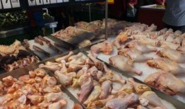 速冻鸡腿爆料视频播放下载,揭秘播放下载背后的热门现象