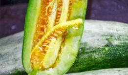 吃瓜系列网红,吃瓜群众眼中的网红风云录