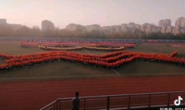 乐陵一中最新爆料,揭秘校园风云与学子风采