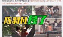 杨凯雯被爆料是哪一期视频,揭秘背后惊人一幕