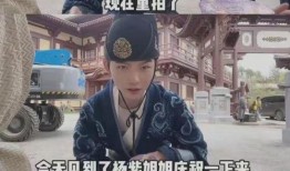 圈内爆料杨紫林更新,幕后故事曝光引热议