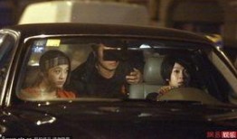 爆料刘若英开车视频是真的吗,刘若英开车视频真实性揭秘