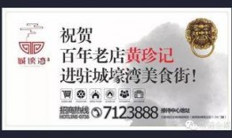 两会最新爆料,聚焦民生福祉，共绘发展蓝图”