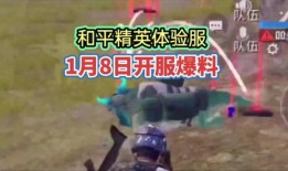 和平精英最新时装爆料8,最新爆料揭示神秘时装造型！