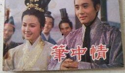 笔中情电影在线观看,穿越时空的浪漫邂逅