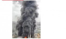 公安爆料重大事故案例视频