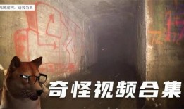 爆料诡异视频大全最新版,惊悚瞬间，揭秘未知世界