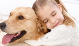 娱乐吃瓜菌宠物,揭秘娱乐圈中的萌宠生活