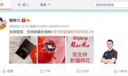 今日比赛赛前爆料,赛前爆料揭示双方阵容与战术布局”