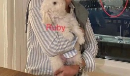 宋慧乔爆料是真的吗视频,真相究竟如何？