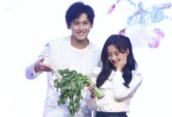 娱乐圈爆料语气有哪些呢