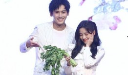 娱乐圈爆料语气有哪些呢