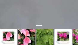 抖音西瓜特效爆料娱乐圈,娱乐圈幕后花絮大曝光