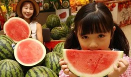 吃瓜视频最全观看免费,免费畅享热门娱乐瞬间