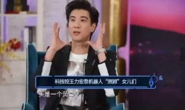 王力宏爆料机器人视频,科技与音乐的跨界融合