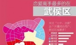 成都今日爆料新闻,揭秘神秘事件背后的真相