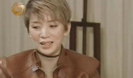 梅艳芳死前爆料视频大全,生前爆料视频大全回顾