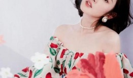 娱乐明星八卦解说最新爆料