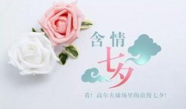 爆料七夕节教程视频大全,浪漫节日必备技能大揭秘