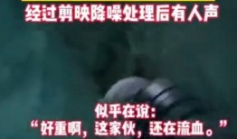 爆料诡异视频大全最新版,惊悚瞬间，揭秘未知世界