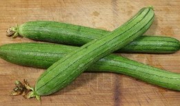 免费吃瓜渠道在哪找