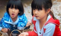 黄磊爆料女儿玩具视频,萌娃日常引网友热议