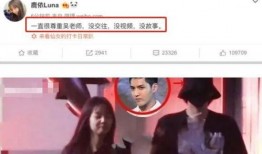 明星爆料制作方法视频,制作方法视频全解析