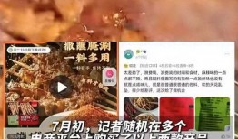 网友爆料烧烤视频大全集,网友爆料视频大全集精彩回顾