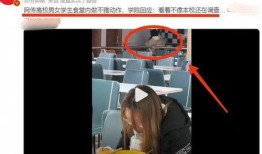 辣眼视频爆料大全最新版,最新版揭露娱乐圈惊人内幕