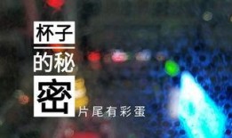 酒店最新爆料视频下载,视频内容深度解析