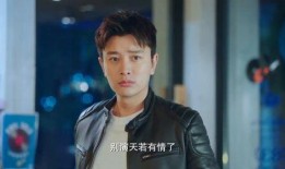 海哥爆料前妻视频