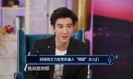 王力宏爆料机器人视频,科技与音乐的跨界融合