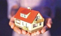 深圳今日关注爆料,关注爆料揭示城市新动态